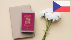 Archival records for Czech citizenship by descent <span>Expert Assessment, Tracing & Obtaining Legal Documents from Ukraine</span>