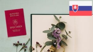 Archival records for Slovak citizenship by descent <span>Expert Assessment, Tracing & Obtaining Legal Documents from Ukraine</span>
